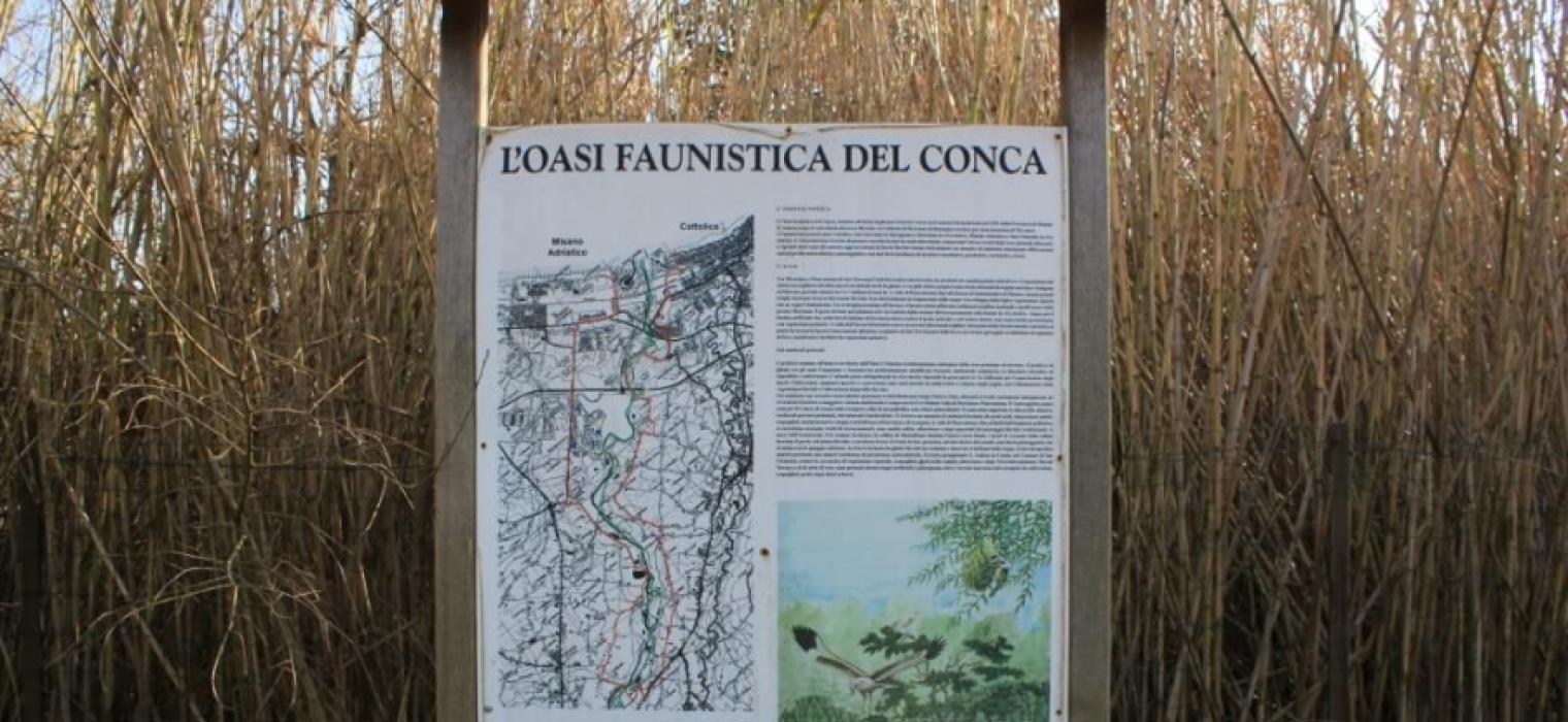 hboston it trekking-sul-fiume-conca-una-giornata-di-cammino-unoasi-naturale 032